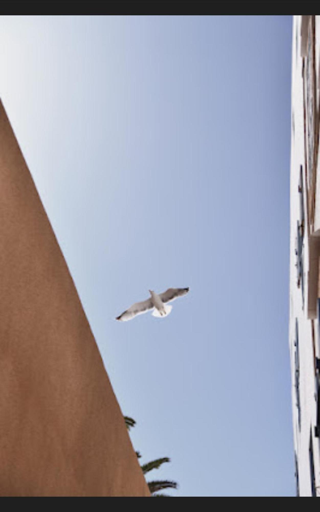 Loft Incroyable En Medina Apartment Essaouira Exterior photo